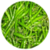 Benefits of Green chillis icon