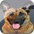Dog Whistle HD icon