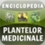 Enciclopedia plantelor medicinale icon