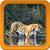 Tiger Live Wallpapers Free icon