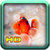 Free HD Wallpaper Aquarium icon