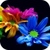 Flowers 3D Live Wallpaper parallax effect icon