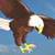 Flappy Eagles V2 icon