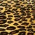 Glowing Leopard Print Live Wallpaper icon