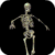 Animated Skeleton LWP icon