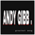 Andy Gibb Song  icon