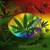 Weed 3D Spin Live Wallpaper icon
