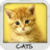 Cats Wallpapers by Nisavac Wallpapers icon