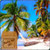 Caribbean Beach Shore LWP app for free