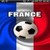 France in FIFA icon