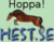 Hoppa Hest 3D icon