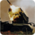 Modern Gunner Simulator icon
