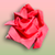 Origami Rose icon