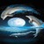 Dolphins Live Wallpape icon