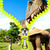 Dinosaur Zipper Lock Screen Best icon