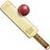 Cricket Lite icon