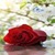 Red Rose Butterfly LWP icon