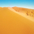 Desert Sand Wallpaper icon