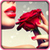 Rose Flower Selfie Editor icon