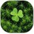 Clover Live Wallpaper lwp icon