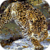 Leopard Hunting Live Wallpaper icon