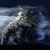 Cat Winds Live Wallpaper icon