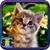 Free Cat Pictures To Download icon