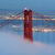Blue Golden Gate Live Wallpaper icon