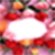 Flower photo frame pic icon