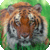 Wild Animals FREE app for free