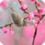 Beautiful Spring Live Wallpaper HD icon