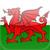 English-Welsh dictionary icon