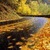 Autumn Road Lwp icon
