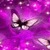 Purple Buterfly LWP icon