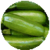 Benefits of Zucchinis icon
