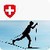 Cross country skiing technique icon