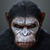Dawn of the Planet of the Apes LWP 1 app for free