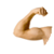 Healthy Elbow icon