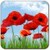 Poppies lwp icon