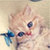 Cute Kitten Live Wallpapers icon