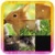 Slide Puzzle Animal icon