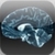Brain Wave - 25 Advanced Binaural Programs icon
