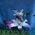Magical Flowers LWP icon