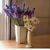 Lilac white flowers pot Wallpaper HD icon