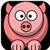 Teacup Pig icon