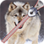 Wolf Zipper Lock Screen icon