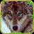 Furious Wolf Simulator  icon