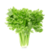 Benefits of Celery icon