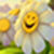  Images of Smiley wallpaper  icon
