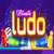 LUDO GAME player 1 to 4  icon